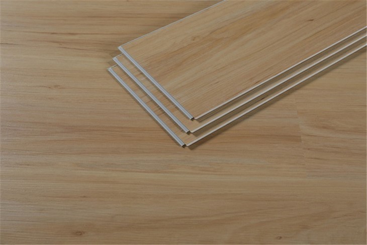 Interior Stone Plastic Click Flooring