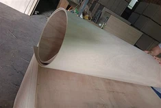 Papan lapis fleksibel